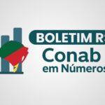 Conab amplia ajuda no RS com mais de 1.800 cestas e quase 32 toneladas de alimentos distribuídos